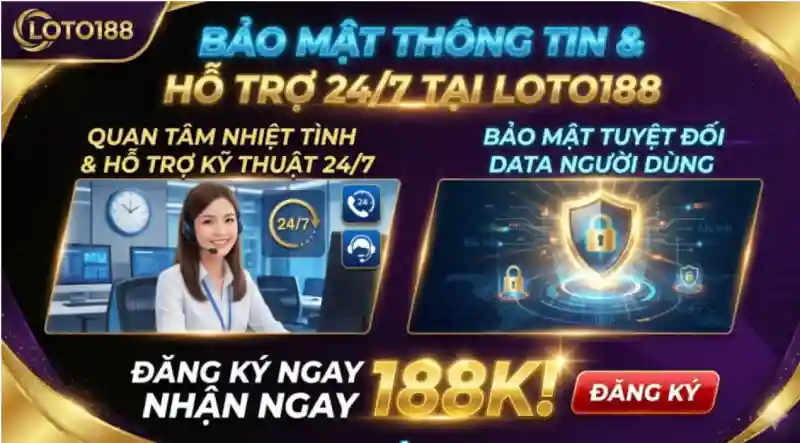 Hỗ trợ nhanh 24/7